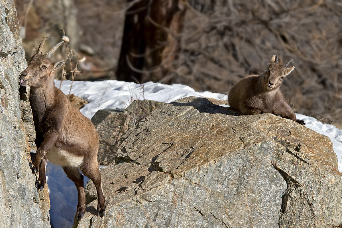 the salt of the earth