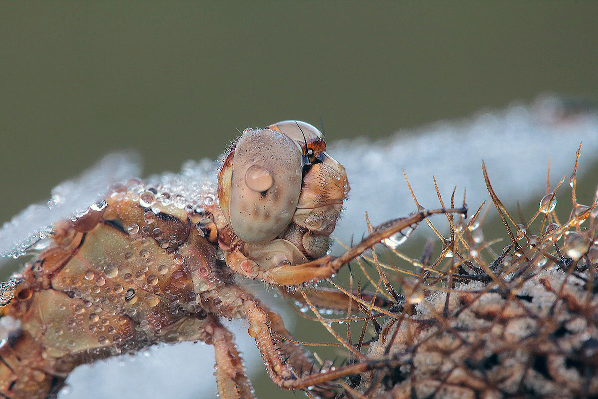 ...più da vicino...!!!