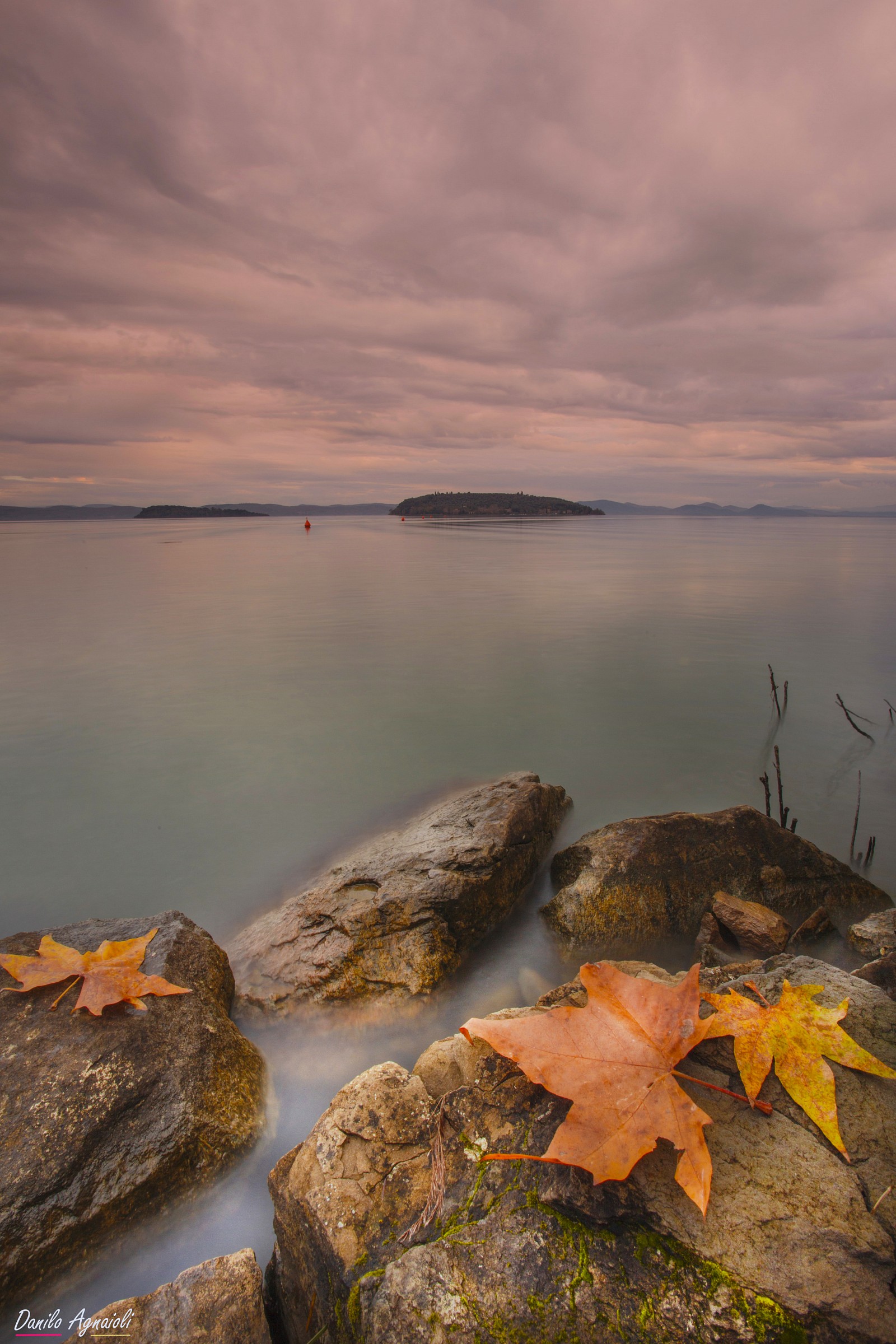 Everything is silent