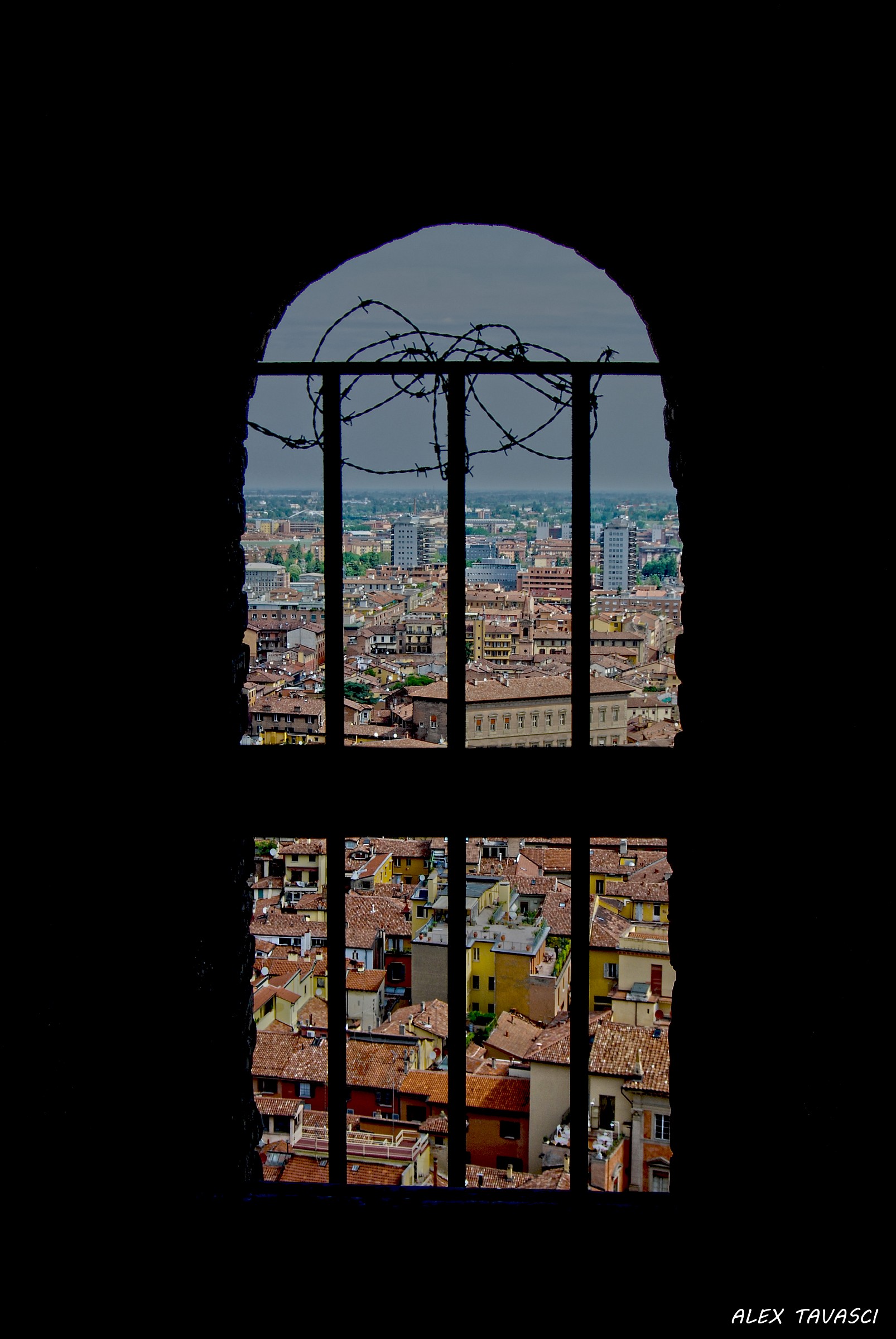 Bologna dalla Torre degli Asinelli.