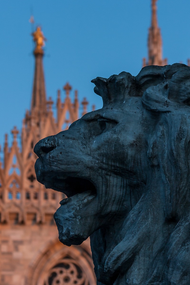 A lion in Milan