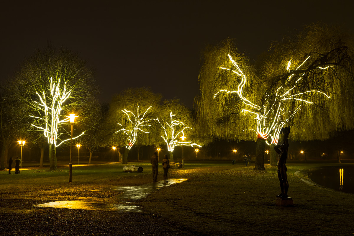 Night Walk gli alberi luminosi