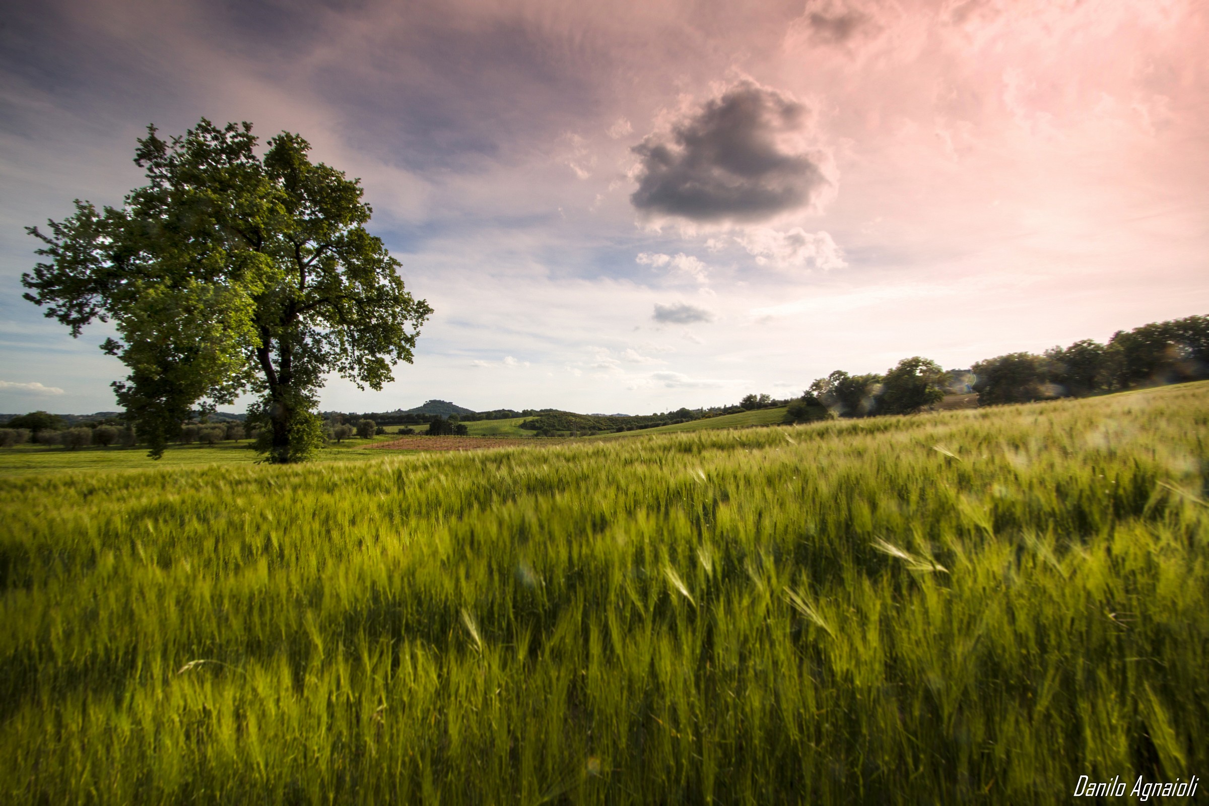 The noise of the grain