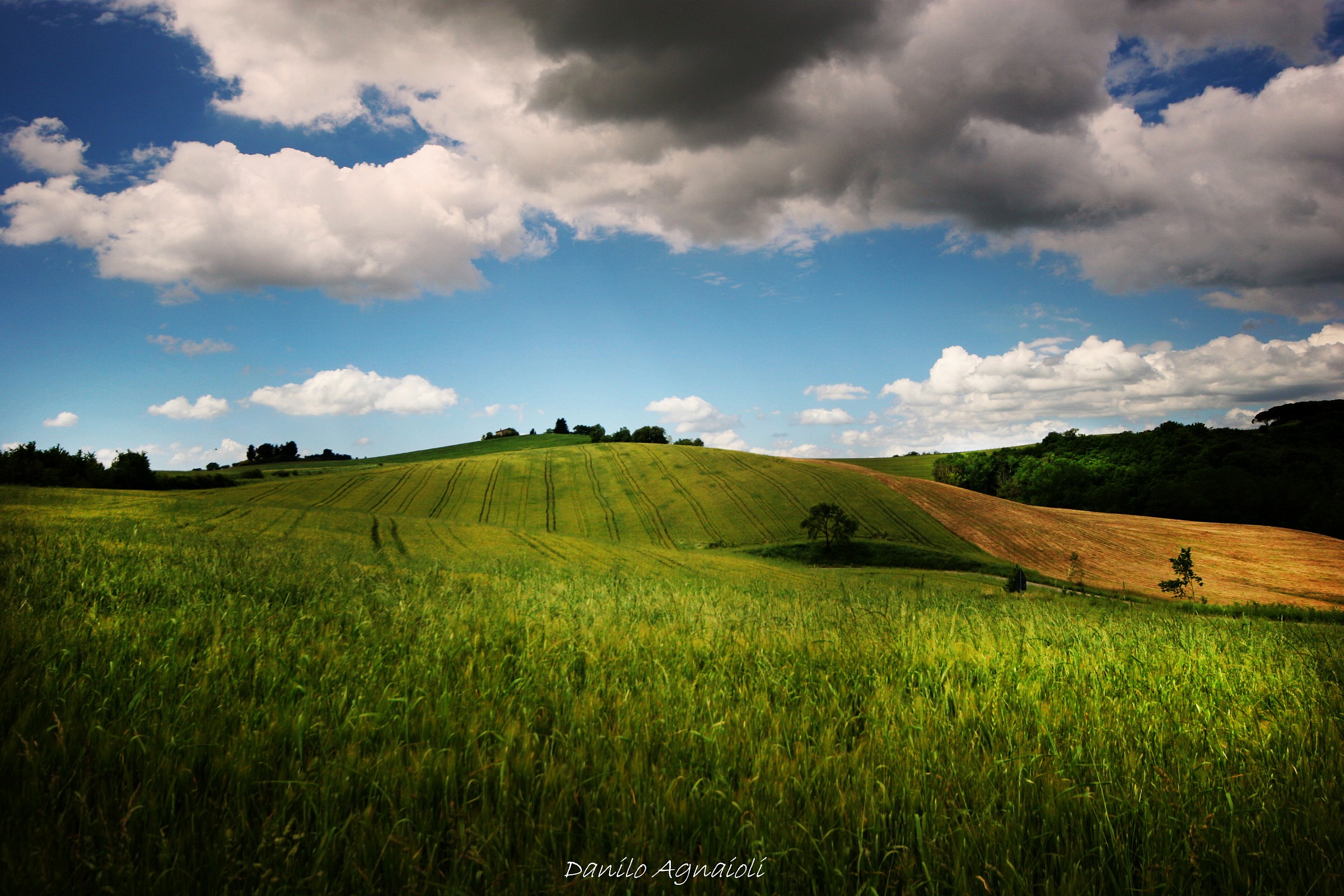 My point of view, the hills of Umbria