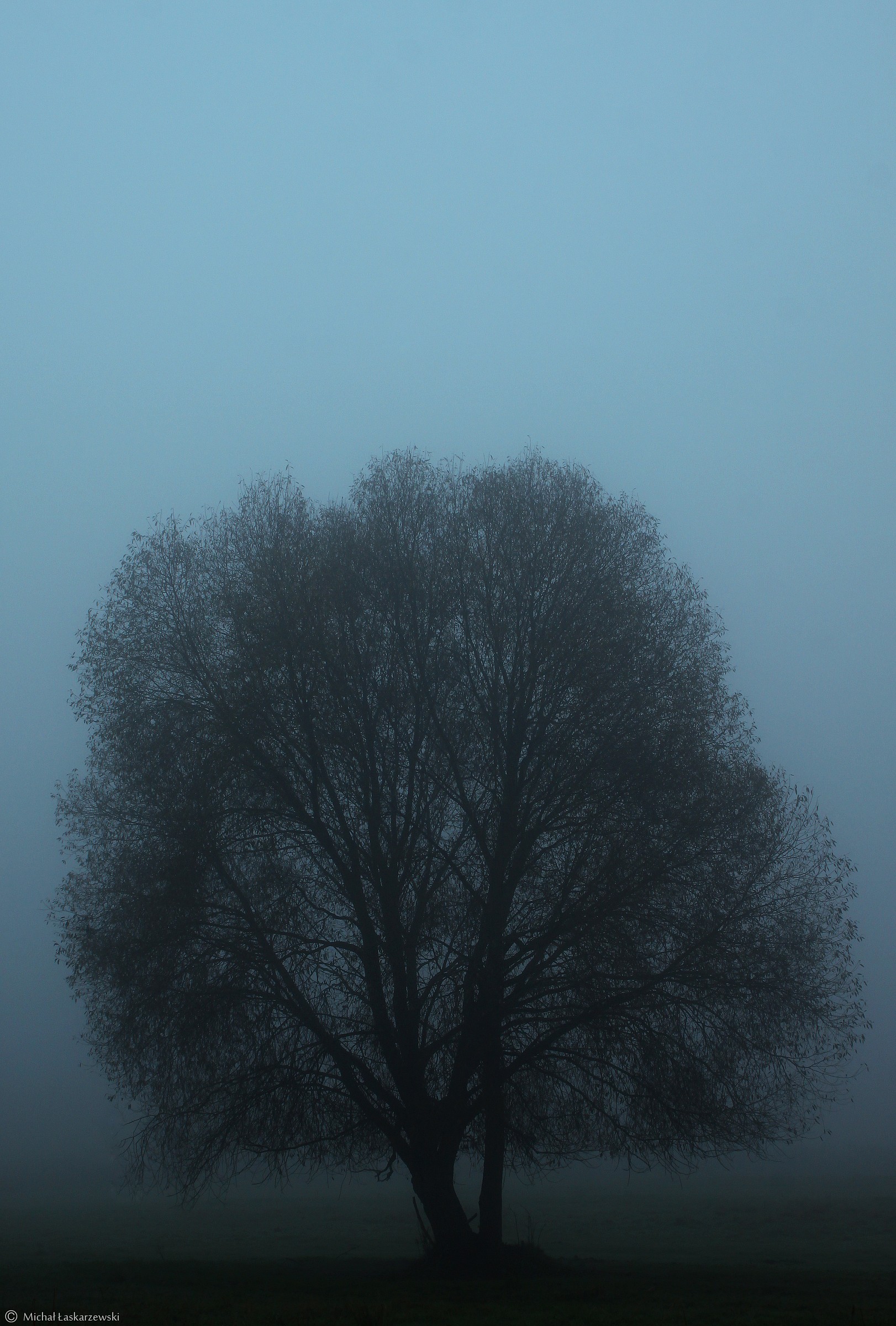 Mist_6