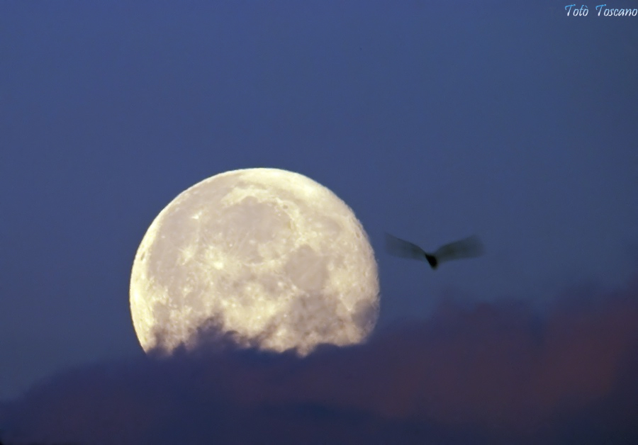 La luna e l'imprevisto