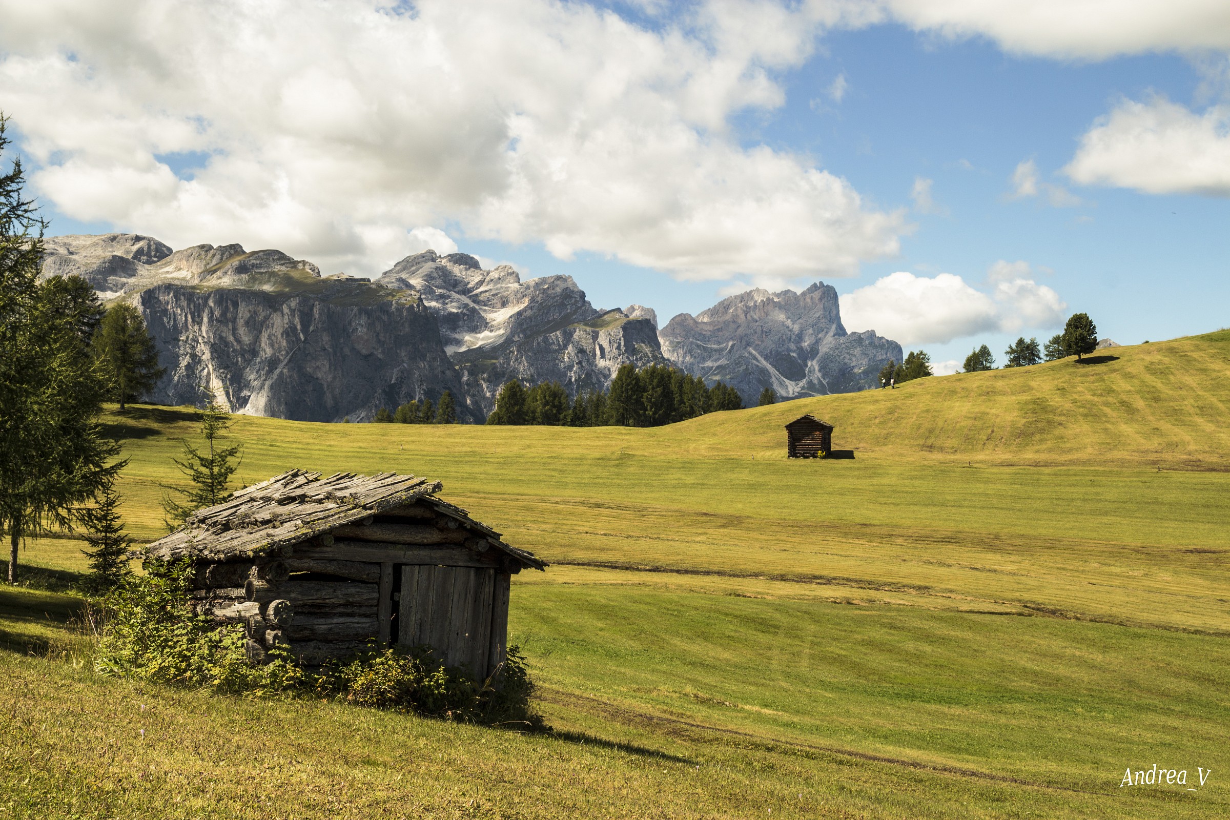 Sui prati dell'armentara