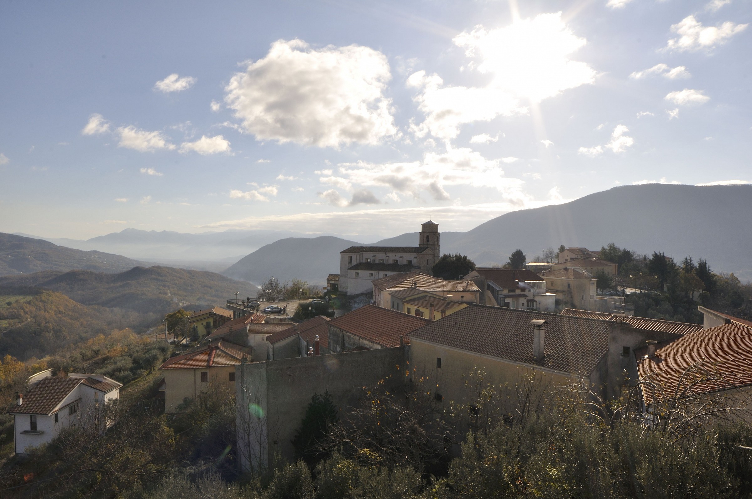 Bachelors (is) d90 + 14 sammy