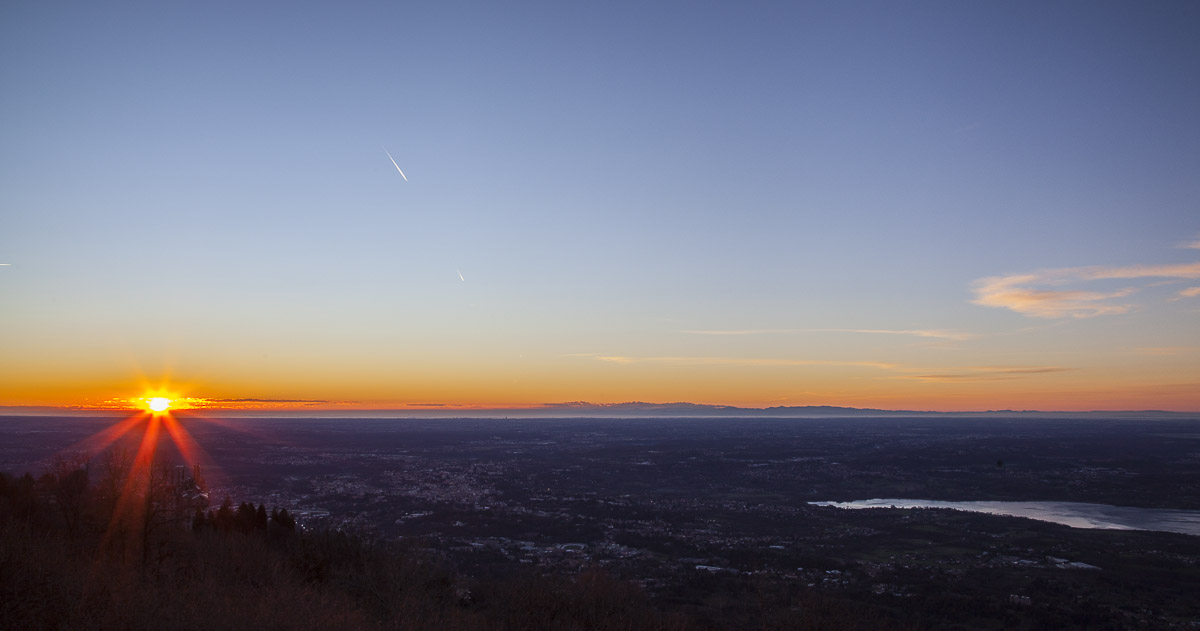 Alba field of flowers