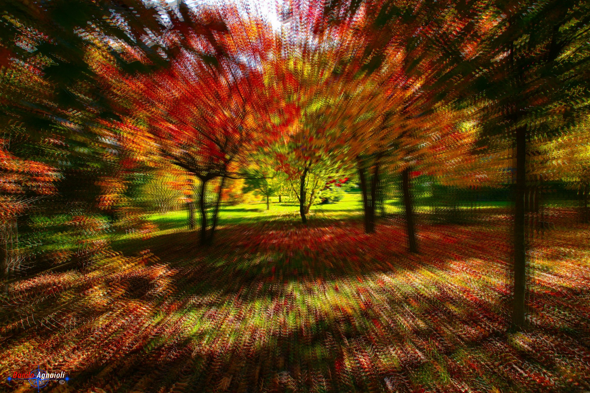 Explosion of autumn.