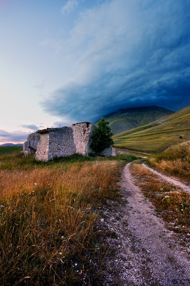 Irish Castelluccio