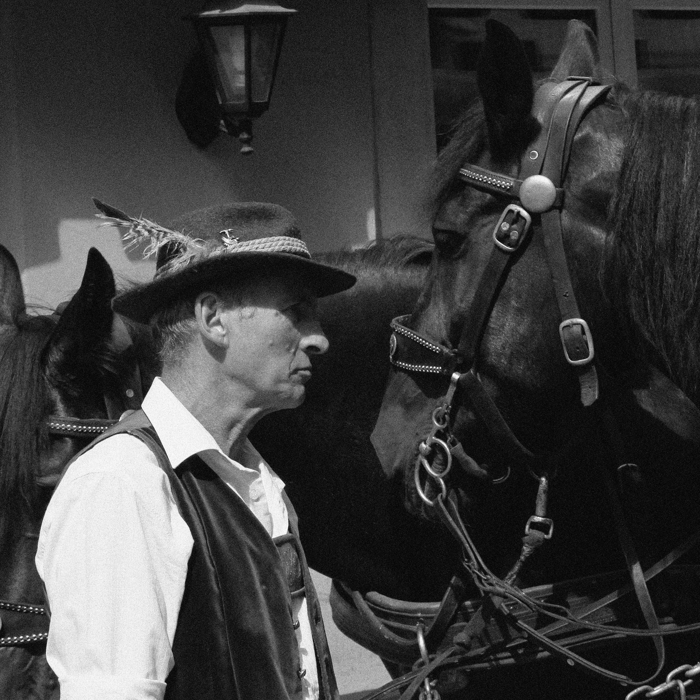 The man and the horse