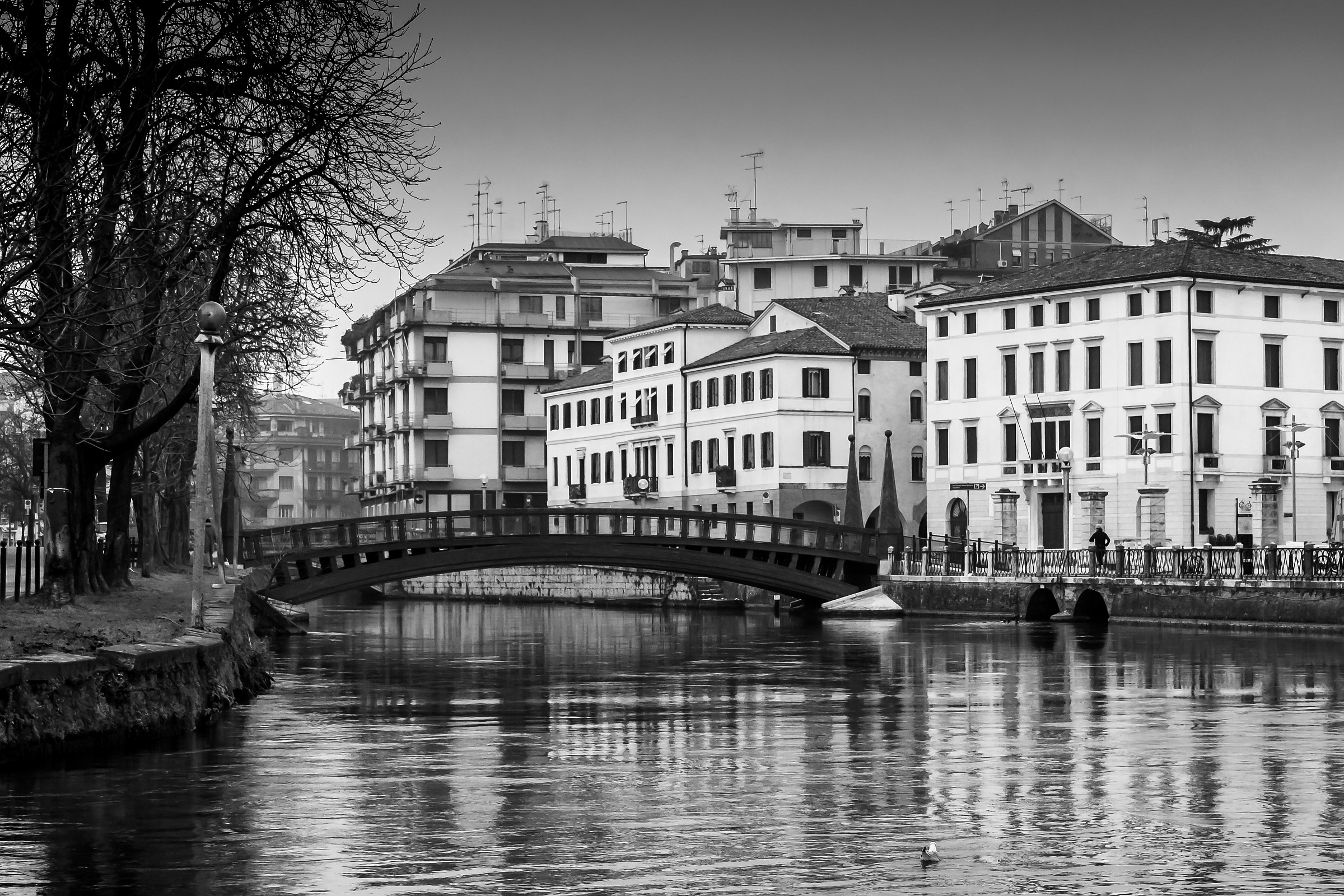 Ponte university Treviso