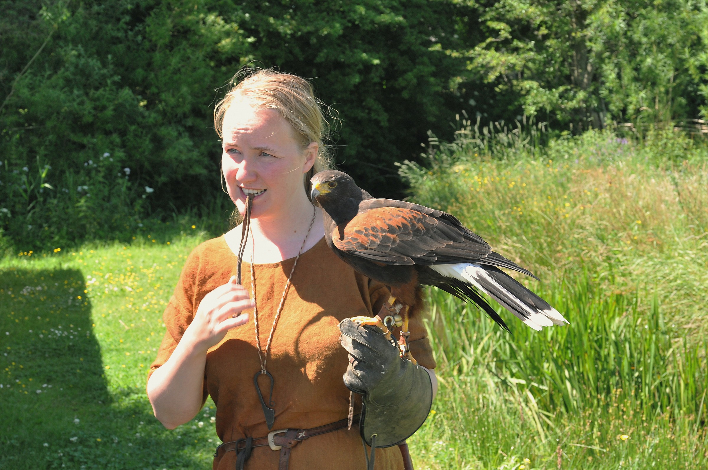The falconry 2
