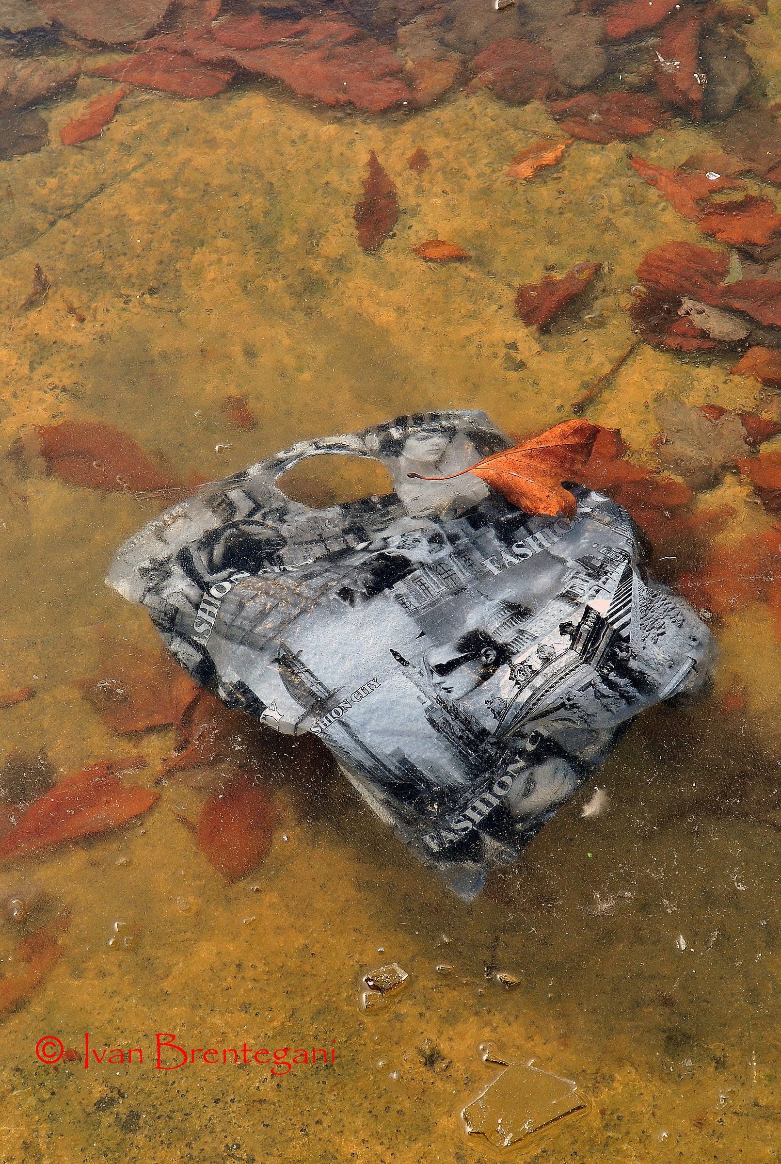 Acquisti sotto il ghiaccio