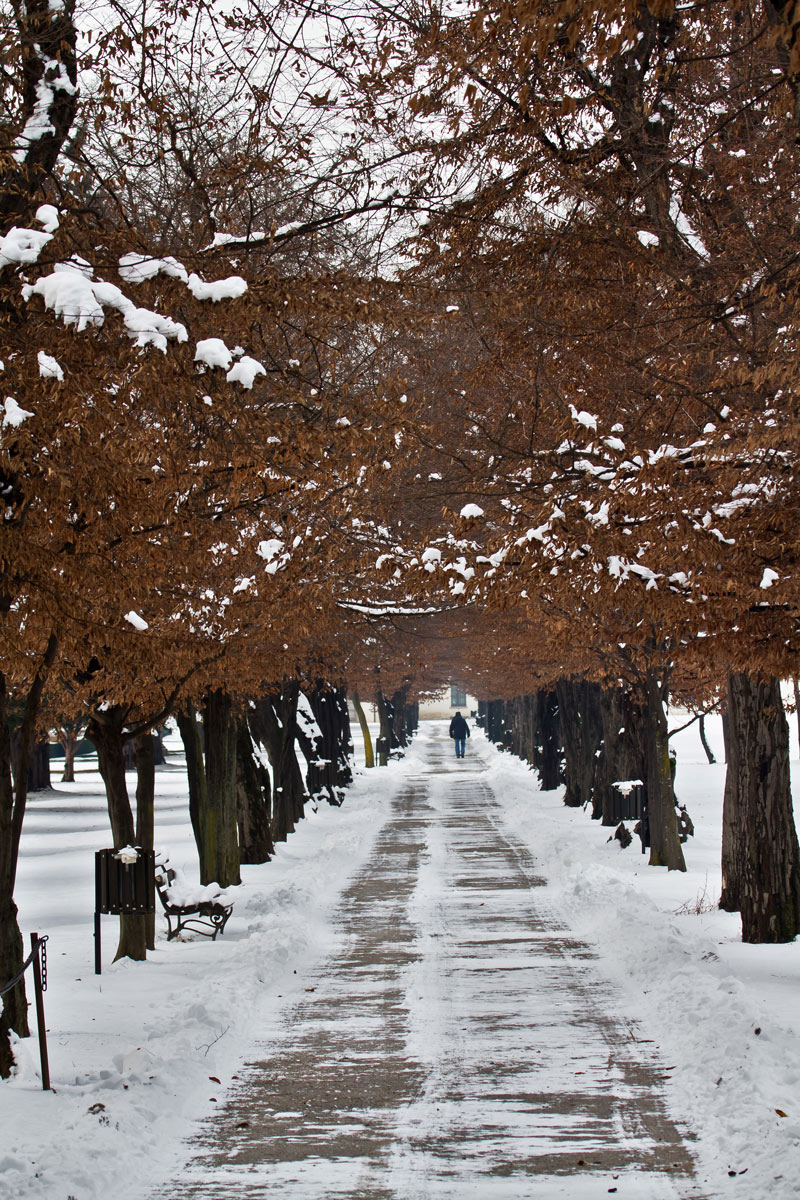 Tra autunno e inverno