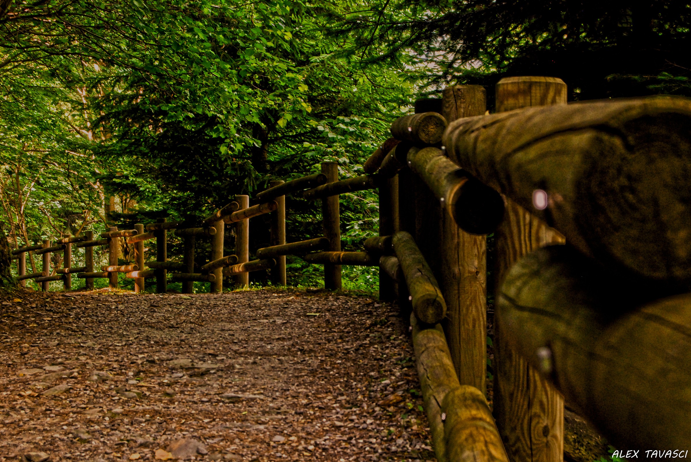 Via dei lamponi a Campodolcino.