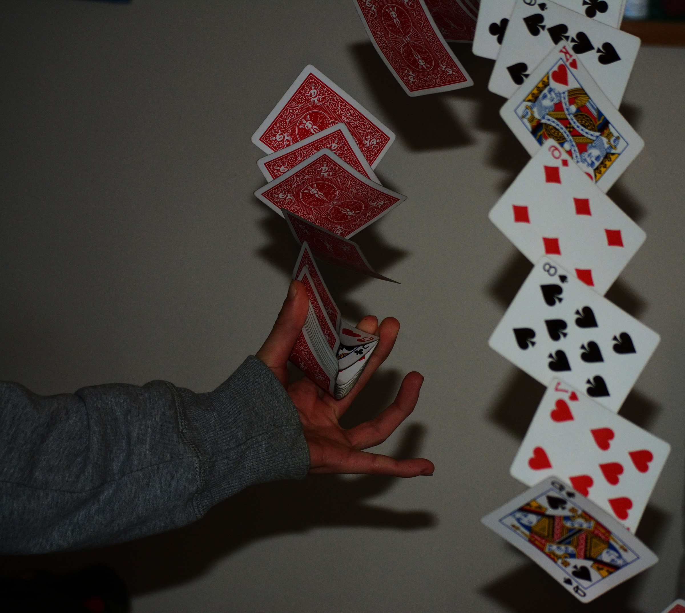 Faccia o dorso? Decidi tu!