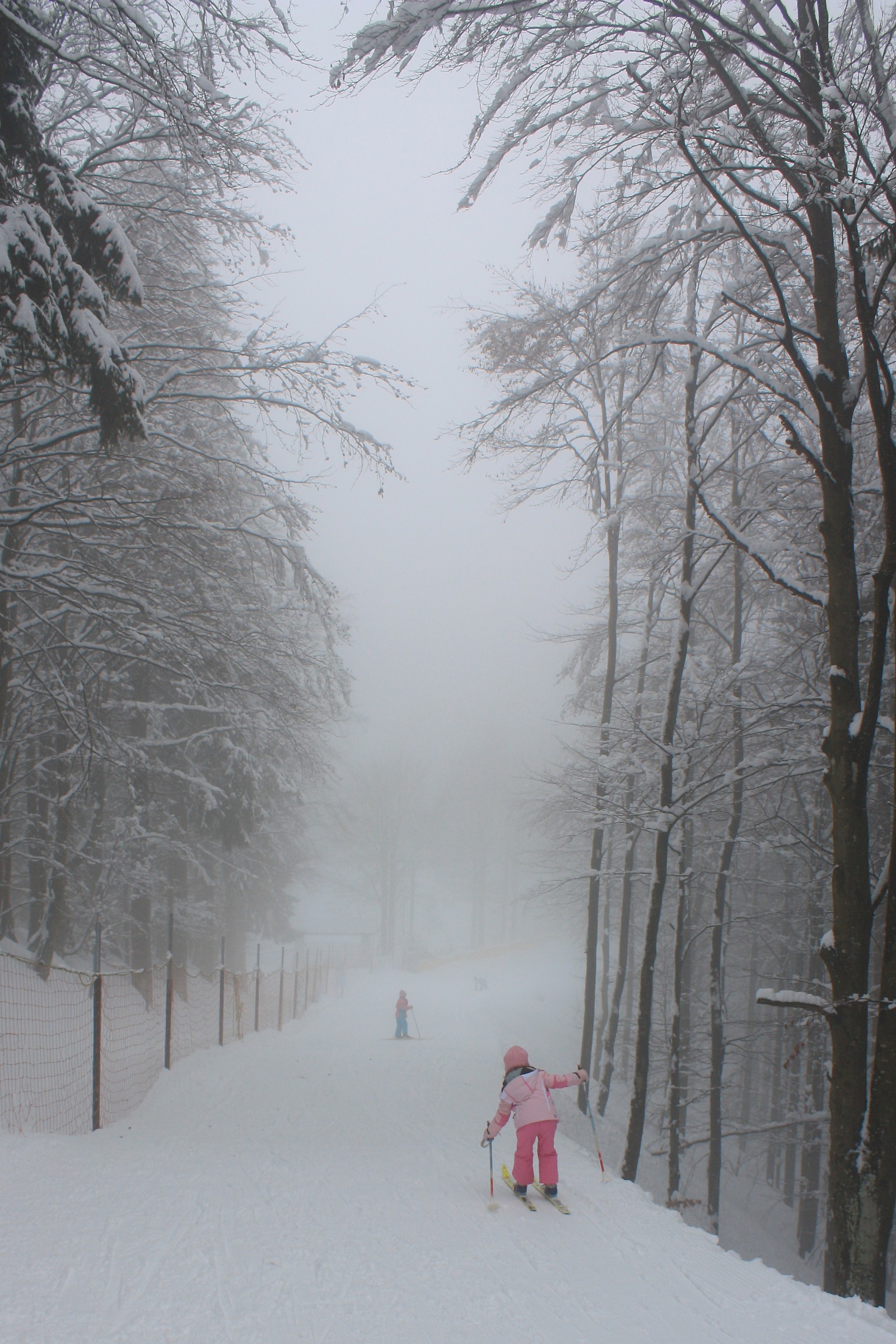Primi passi sulla neve...