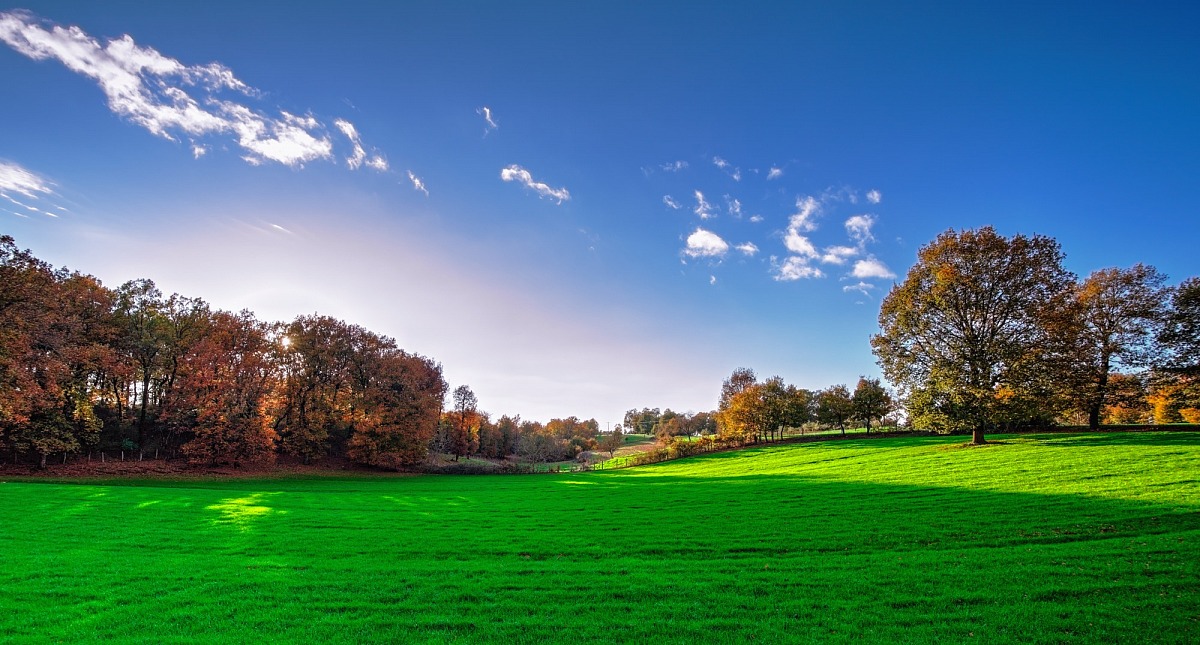 Quercia Foloi Forest ~ Grecia