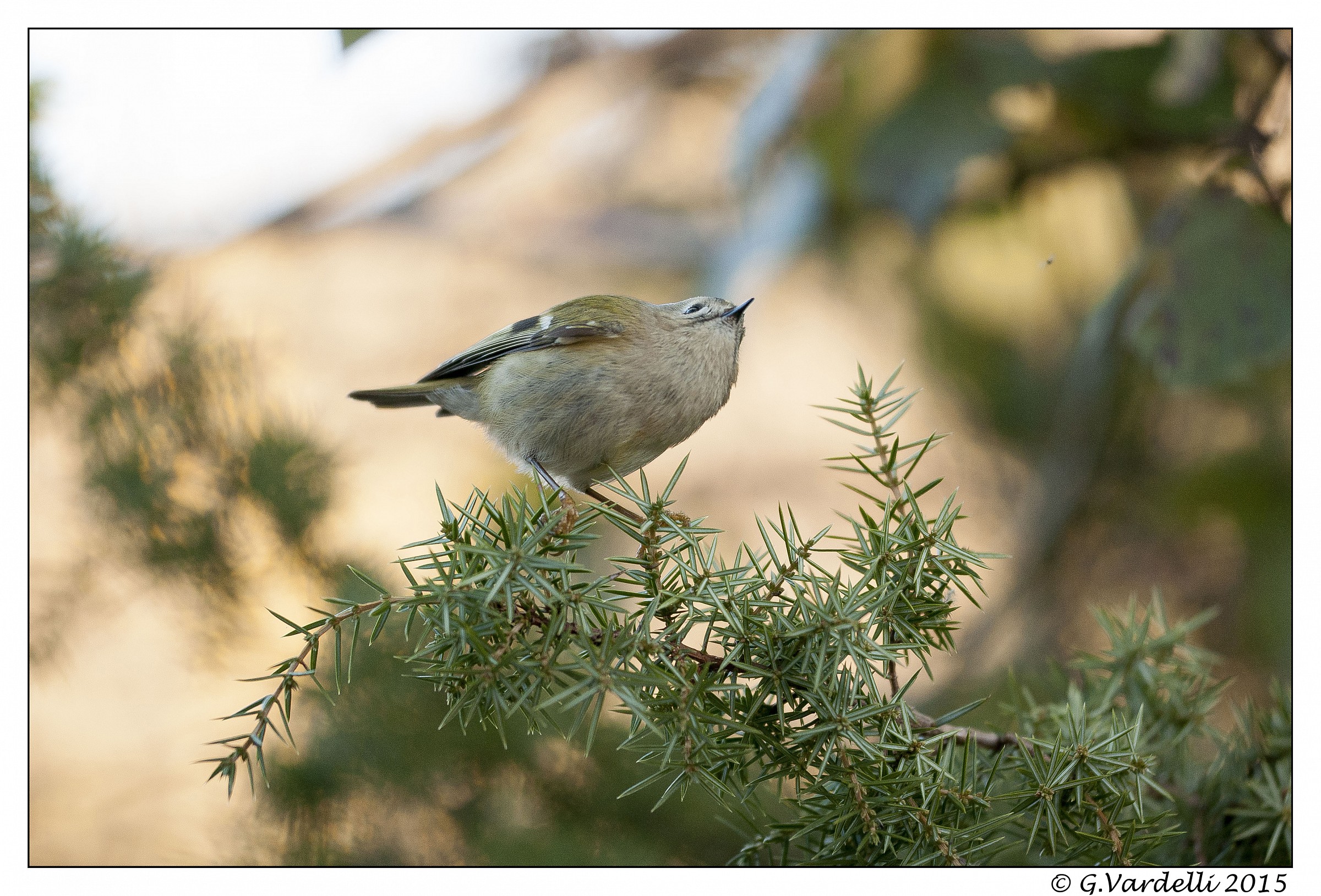 So little .... but so cute!