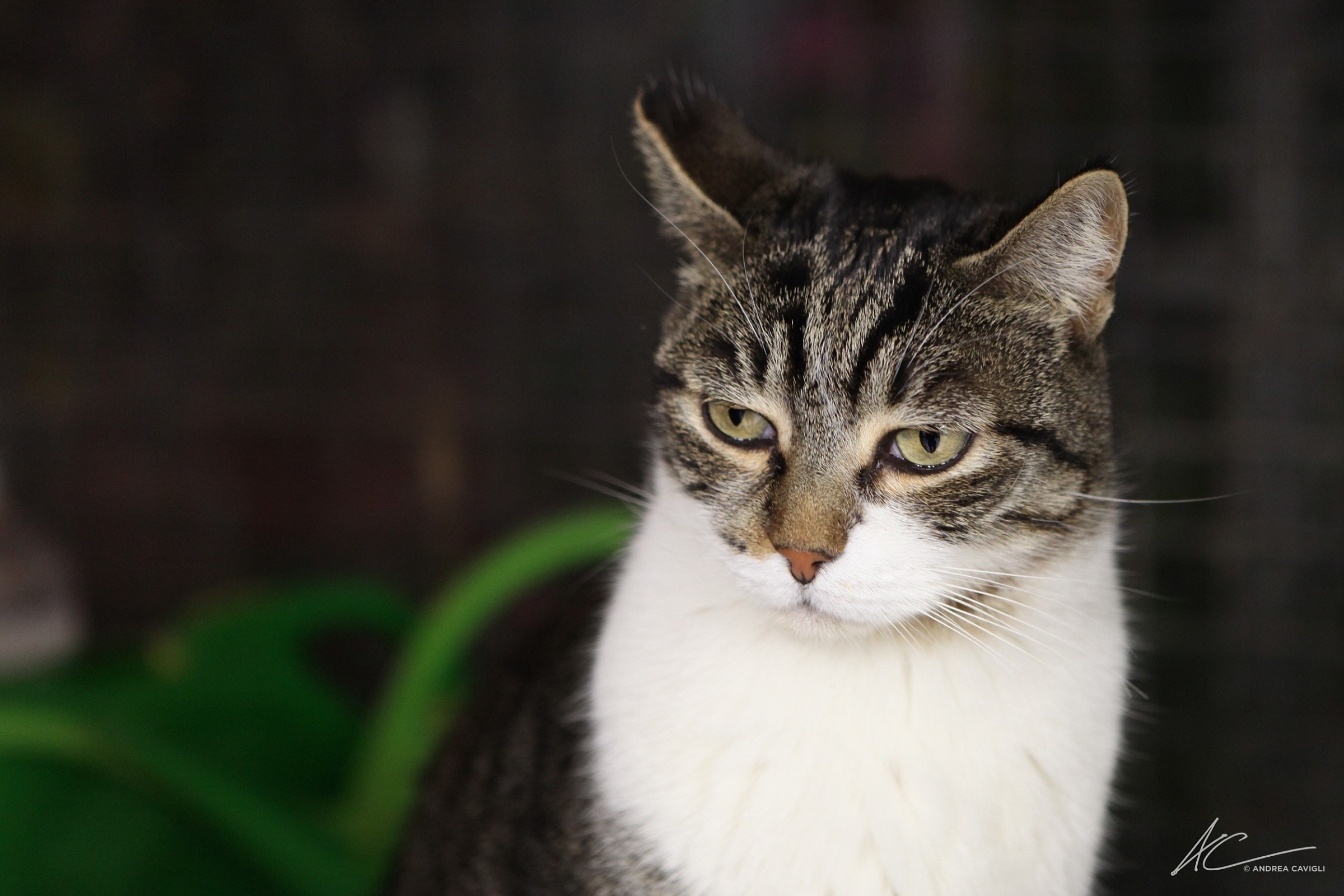 Non farmi arrabbiare