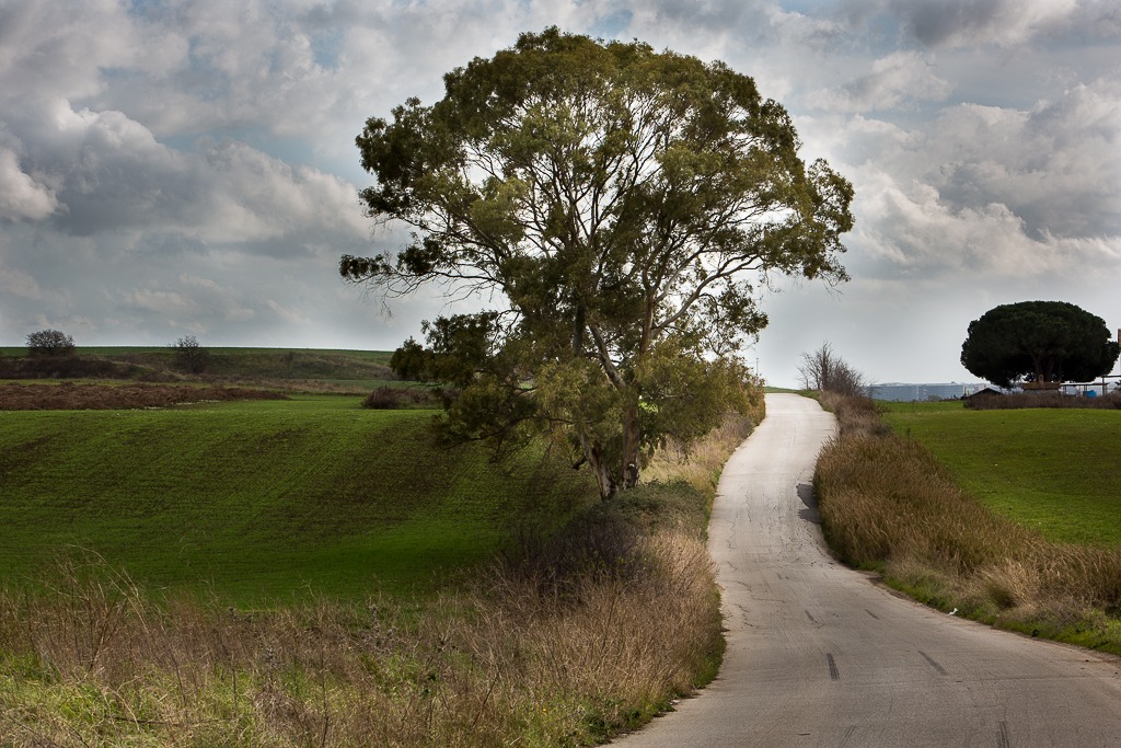 Maccarese, Roma - 2014