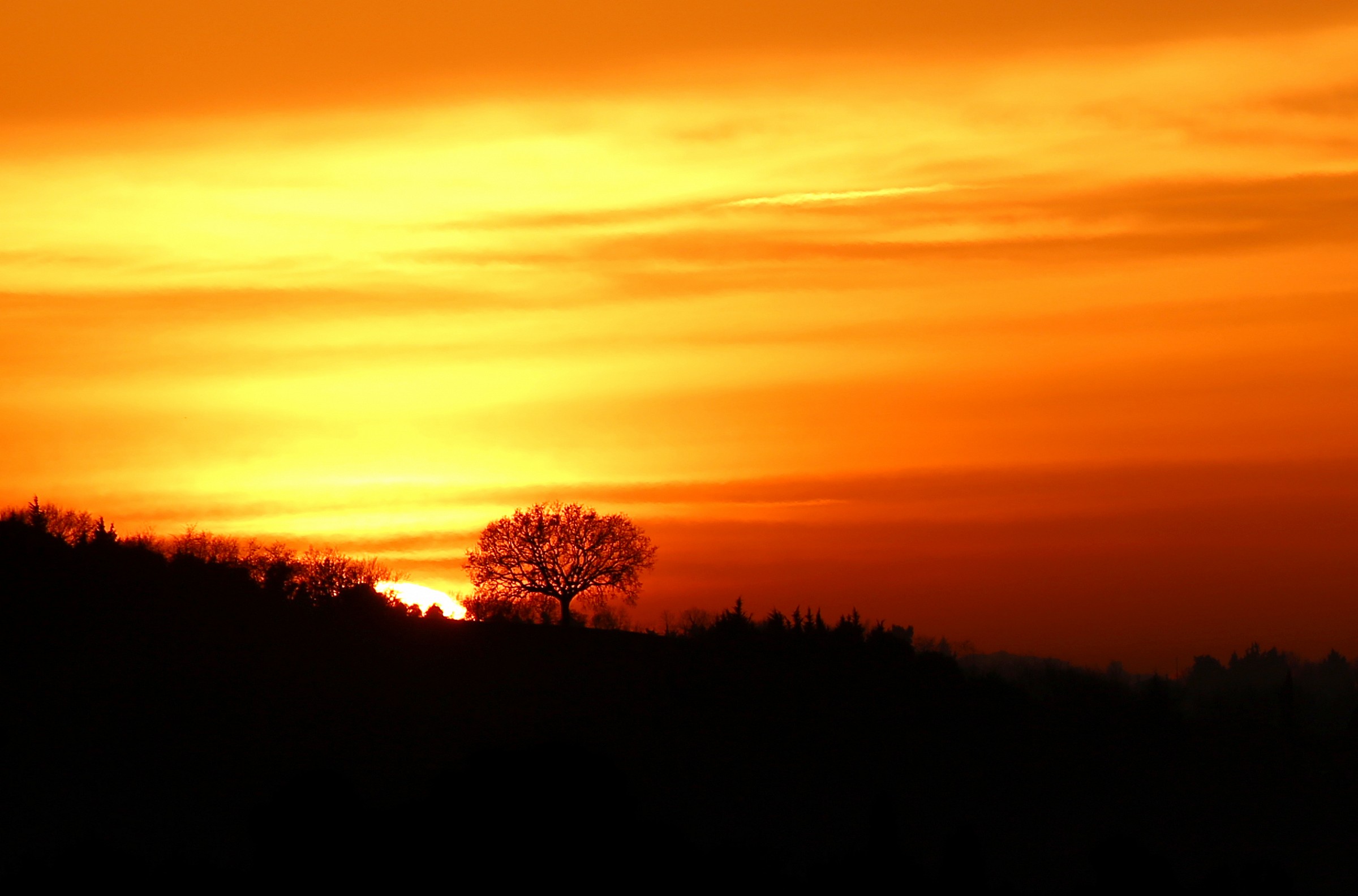 I'm leaving tomorrow ....