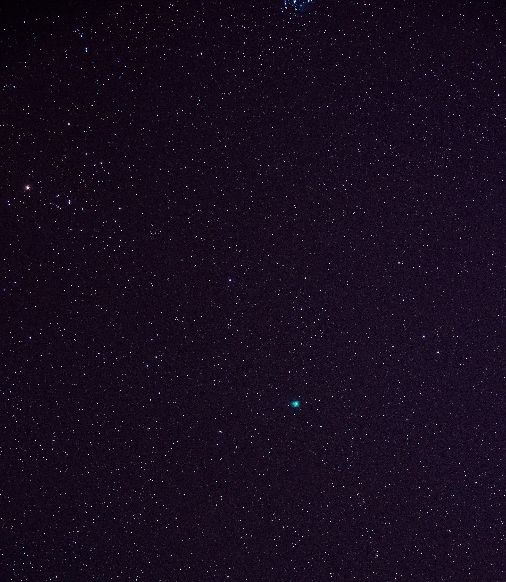 Cometa Lovejoy, nella cost.del Toro