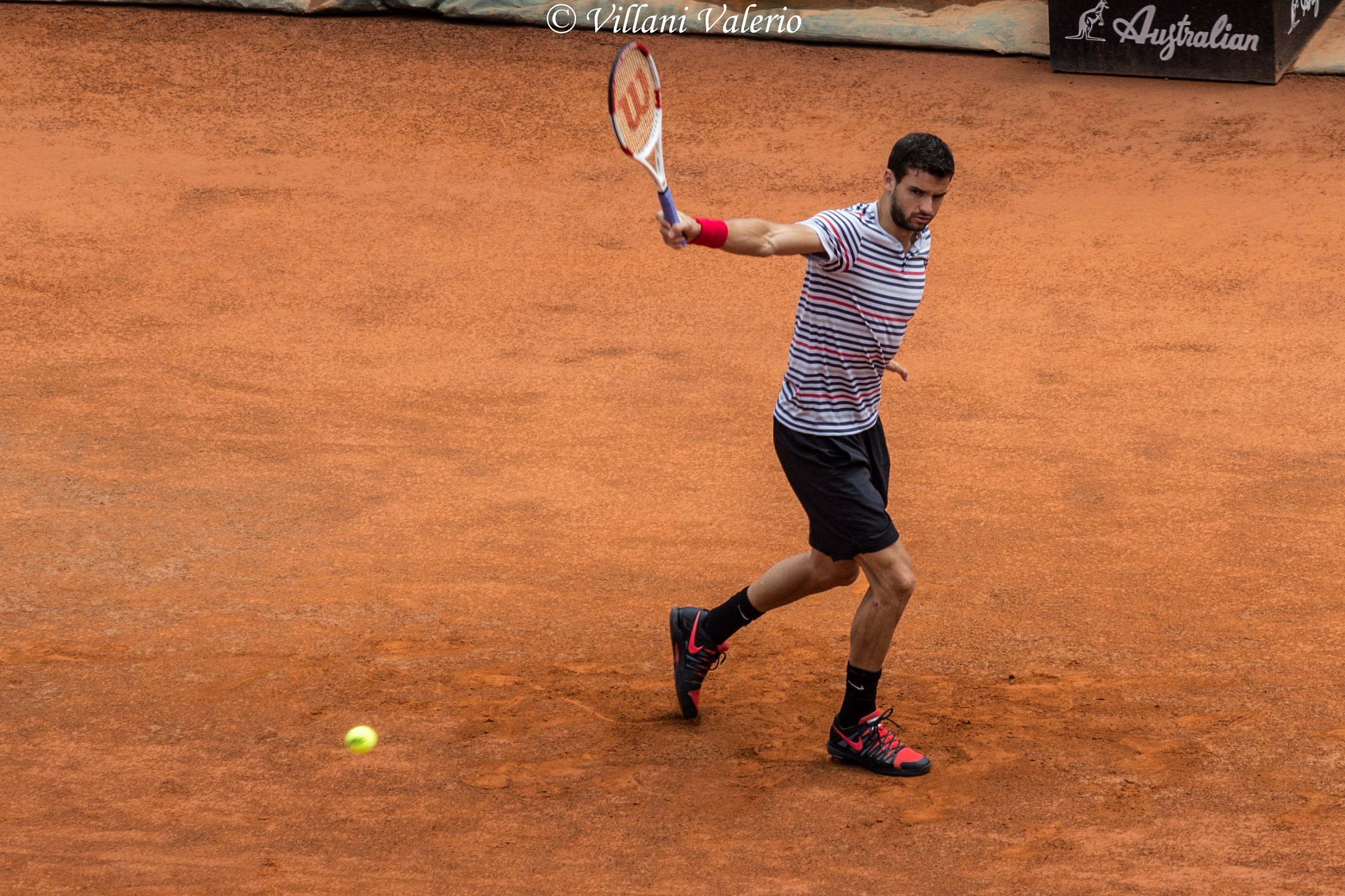 Grigor Dimitrov