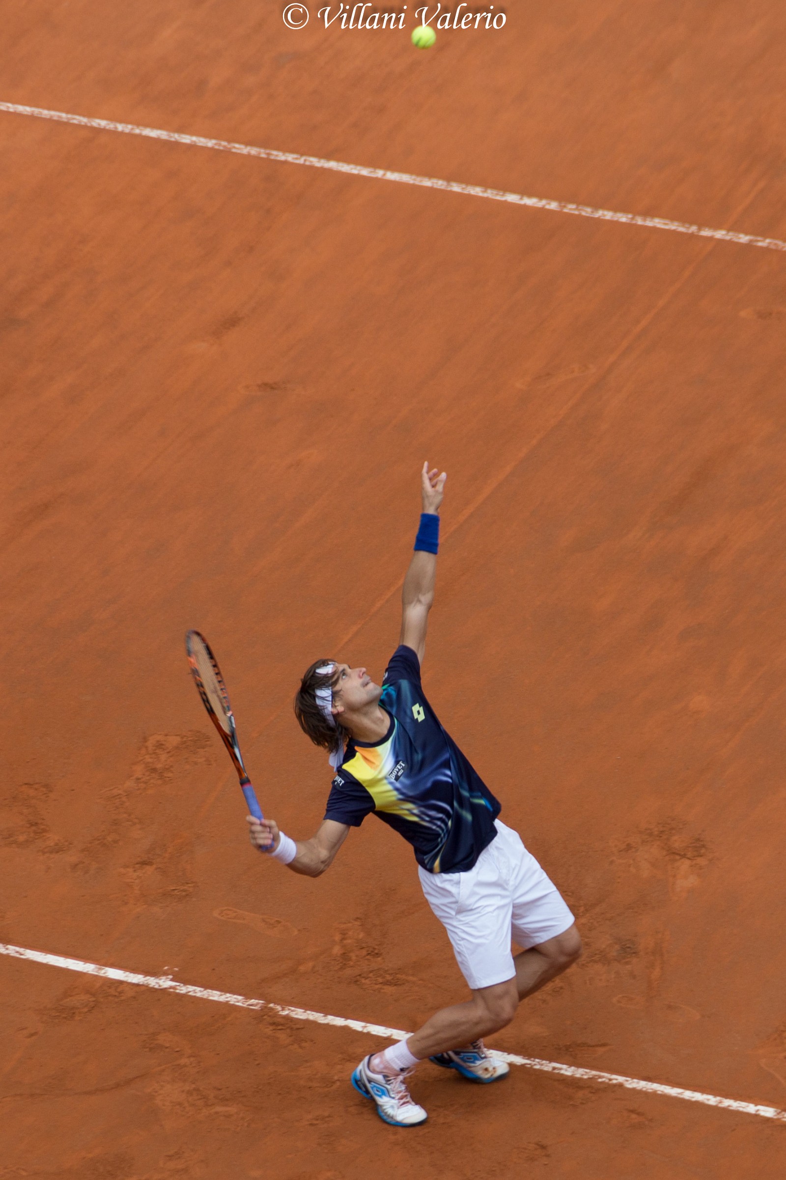 David Ferrer