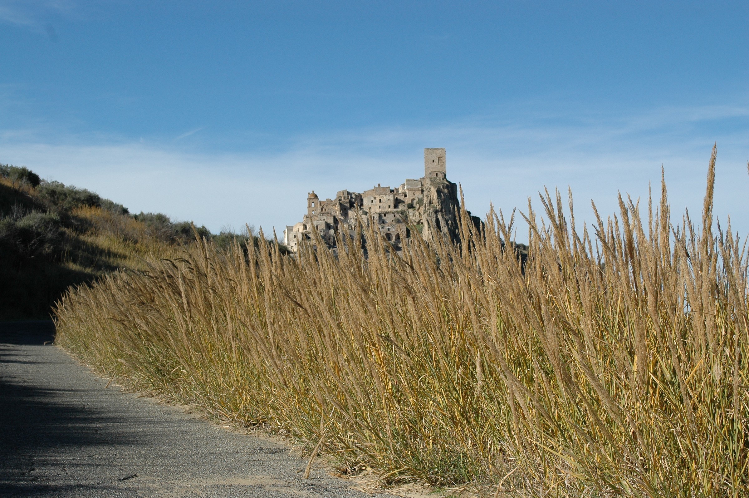 Nikon d70s shutter 1/800 f7/1 iso 200 mano libera