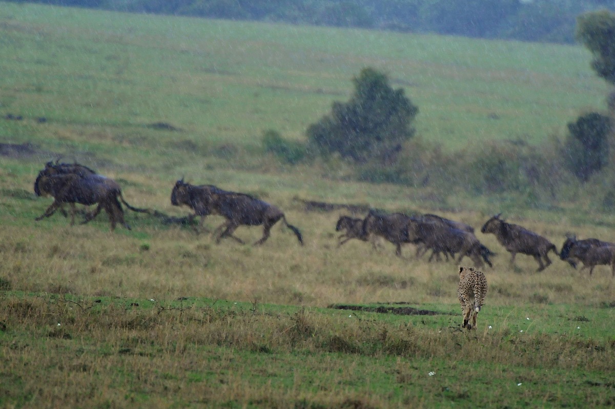 Hunting wet hunting unlucky