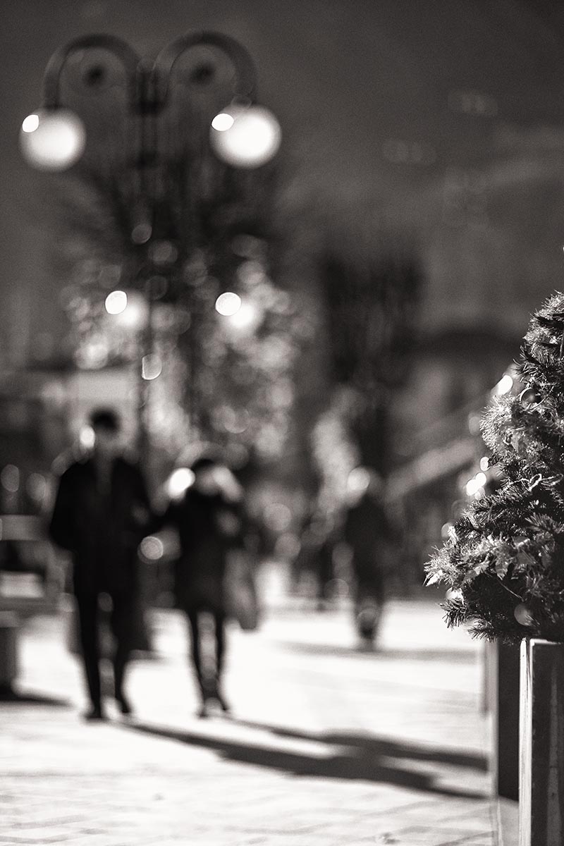 ...alberi di Natale...