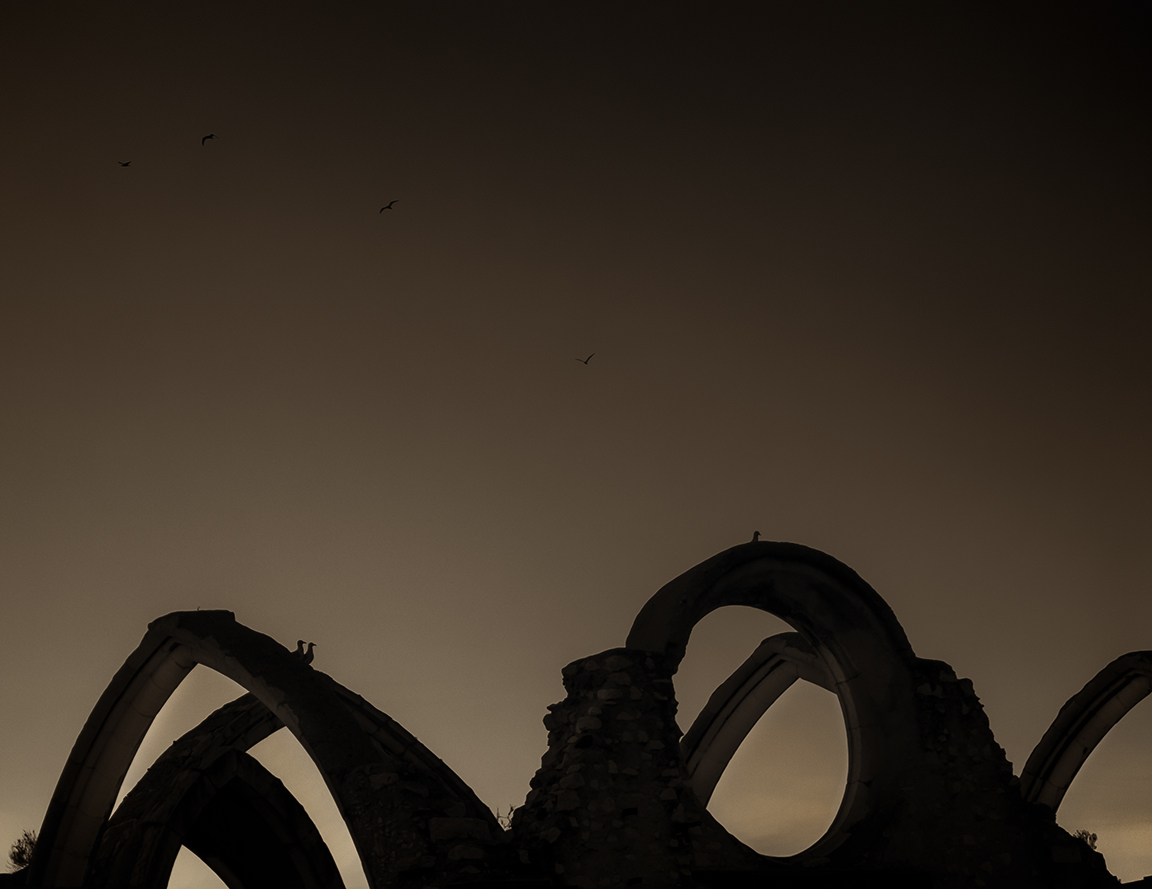 The guardians of the temple