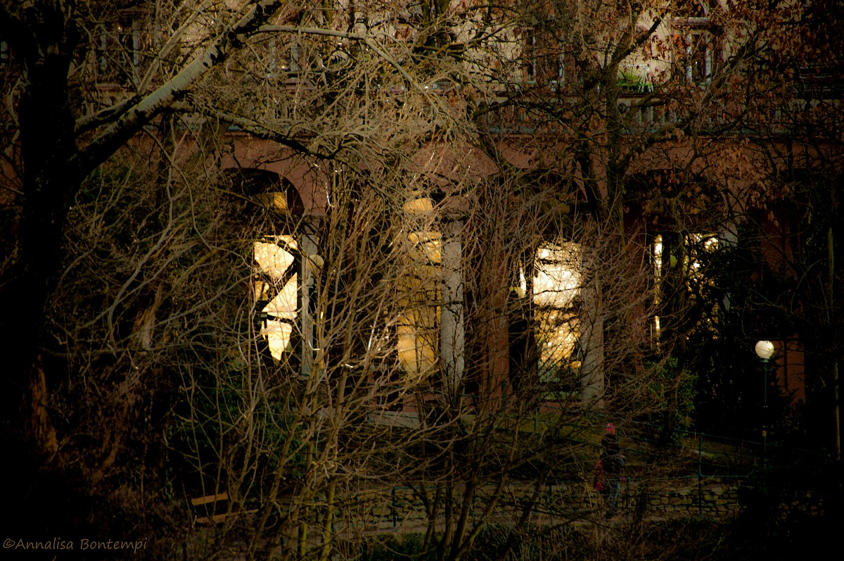 The house in the woods