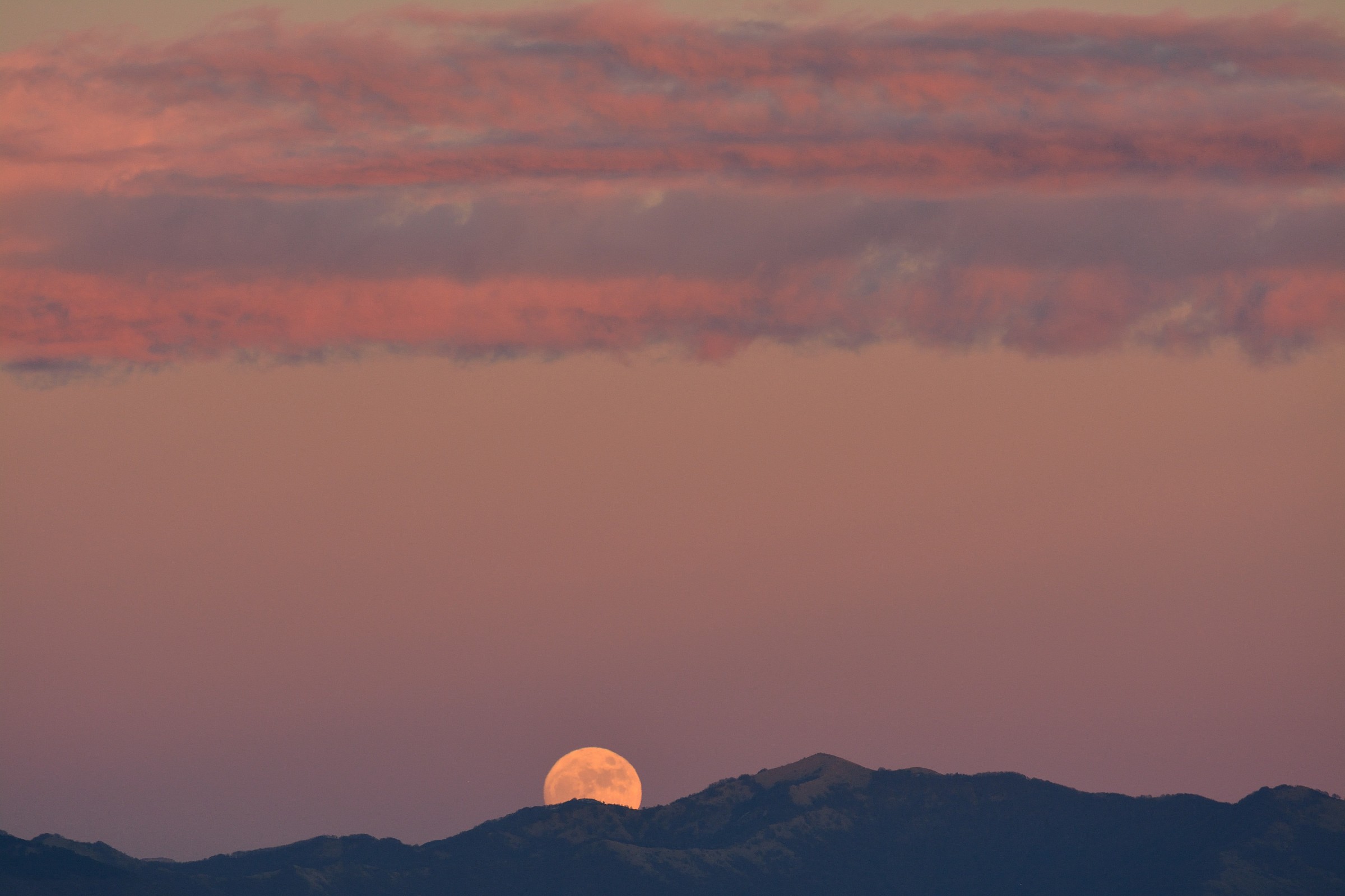 Capolino Della Luna 1
