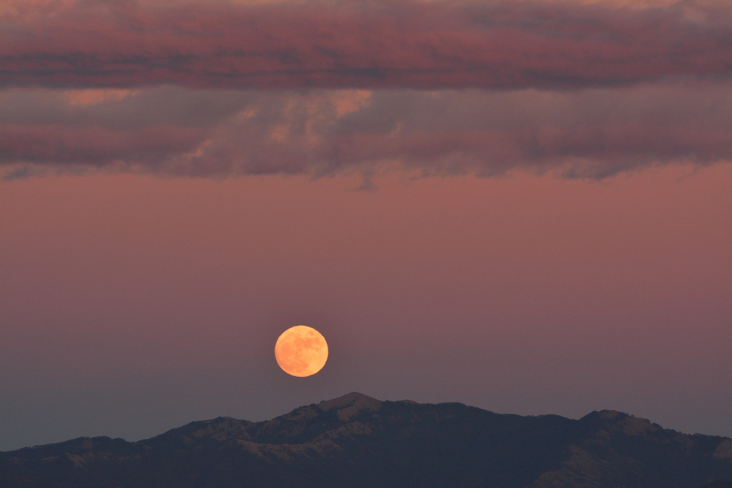 Capolino Della Luna 3