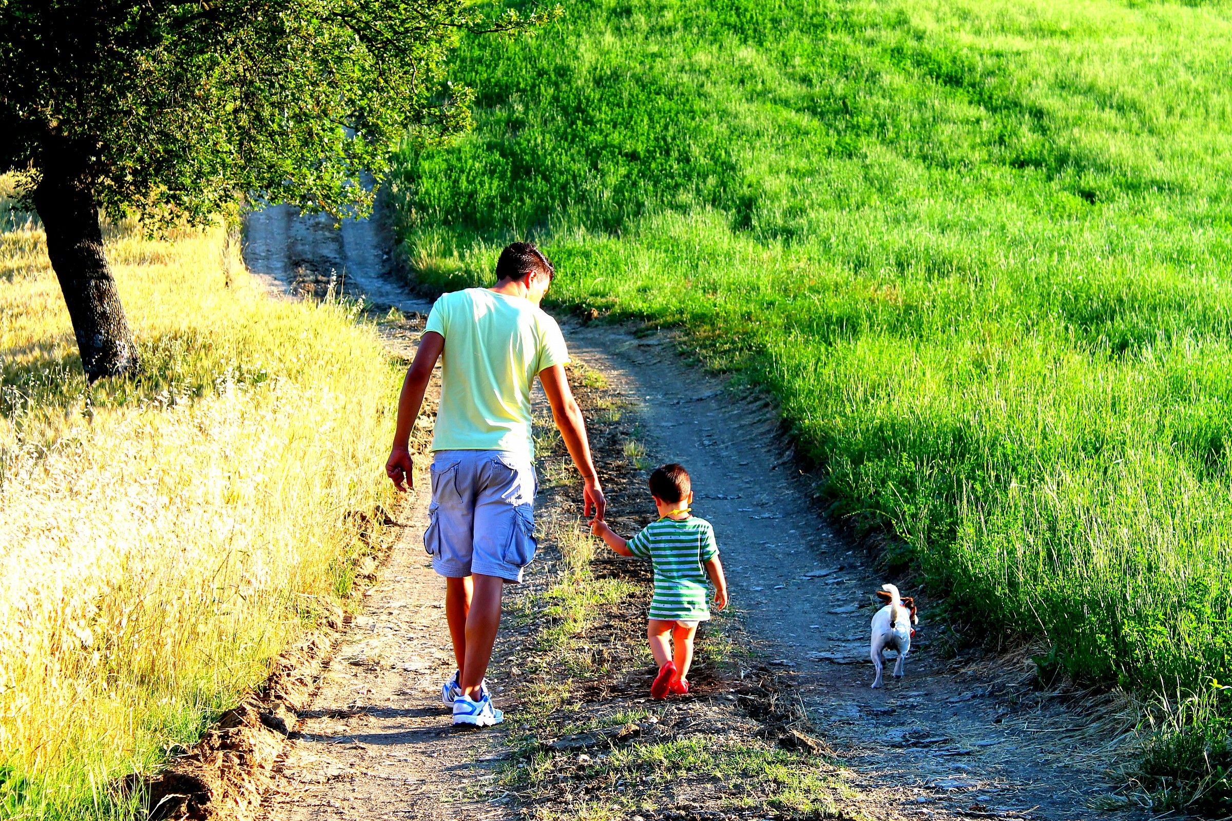 il lungo il corto il pacioccone