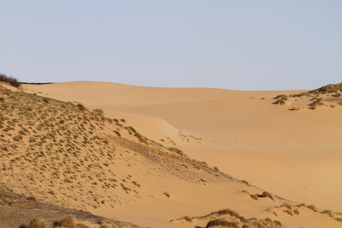 Torre dei Corsari - Dune di sabbia