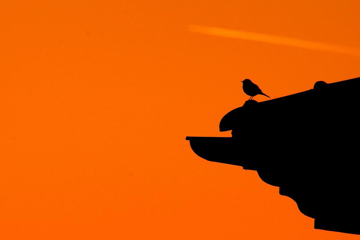 someone flies higher than me ...