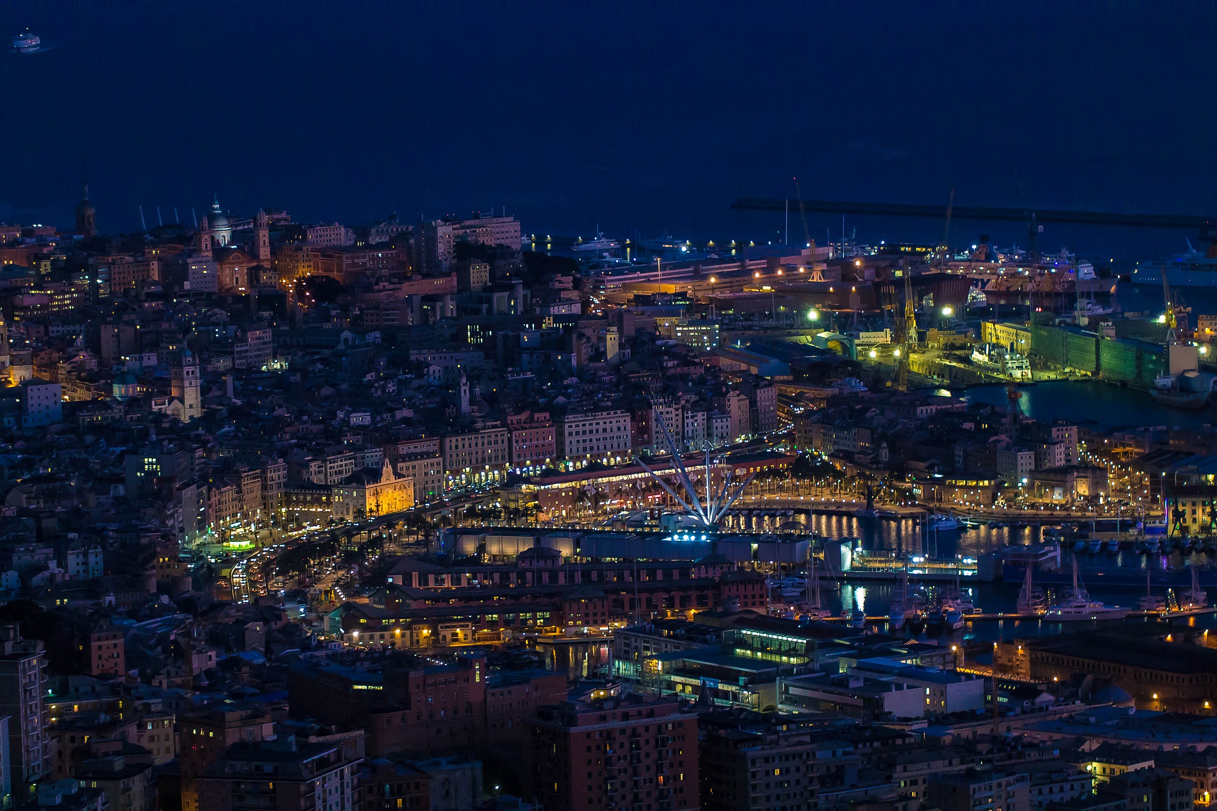 Genova 3