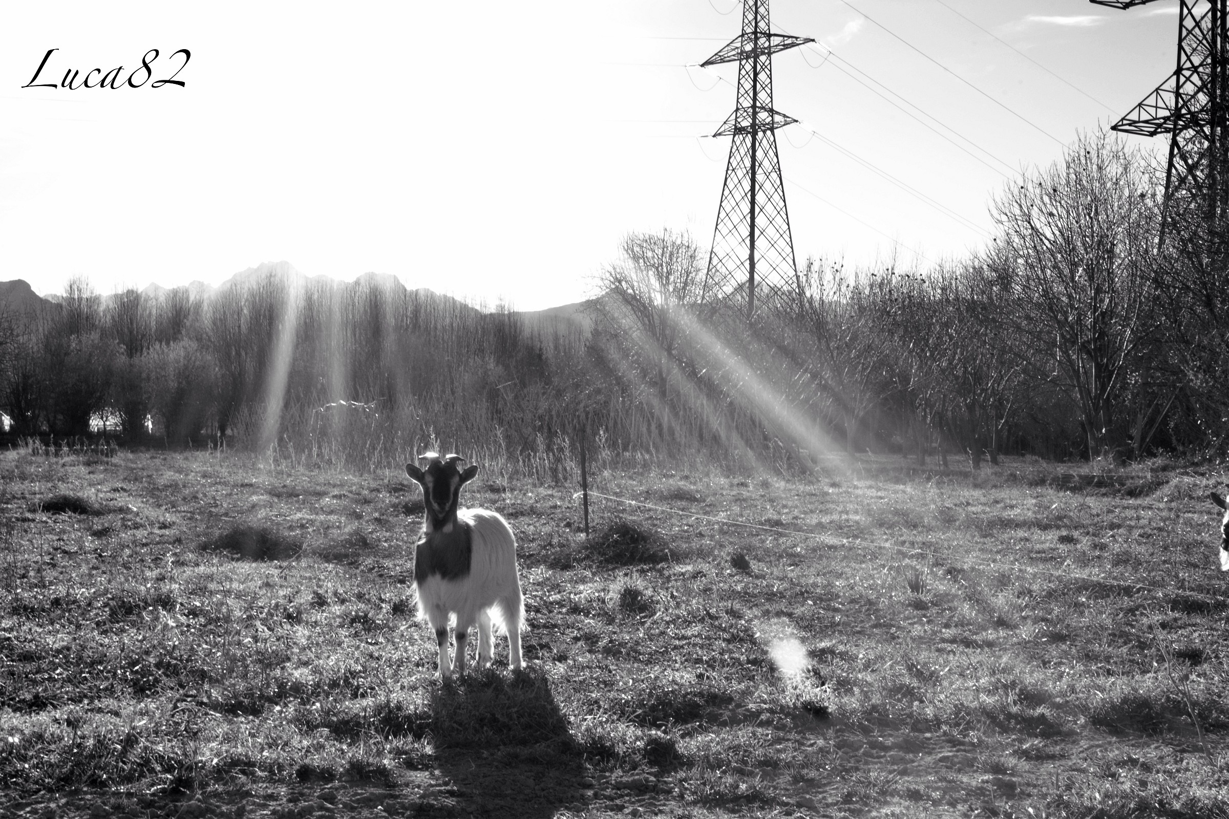 Campaign village San dalmazzo