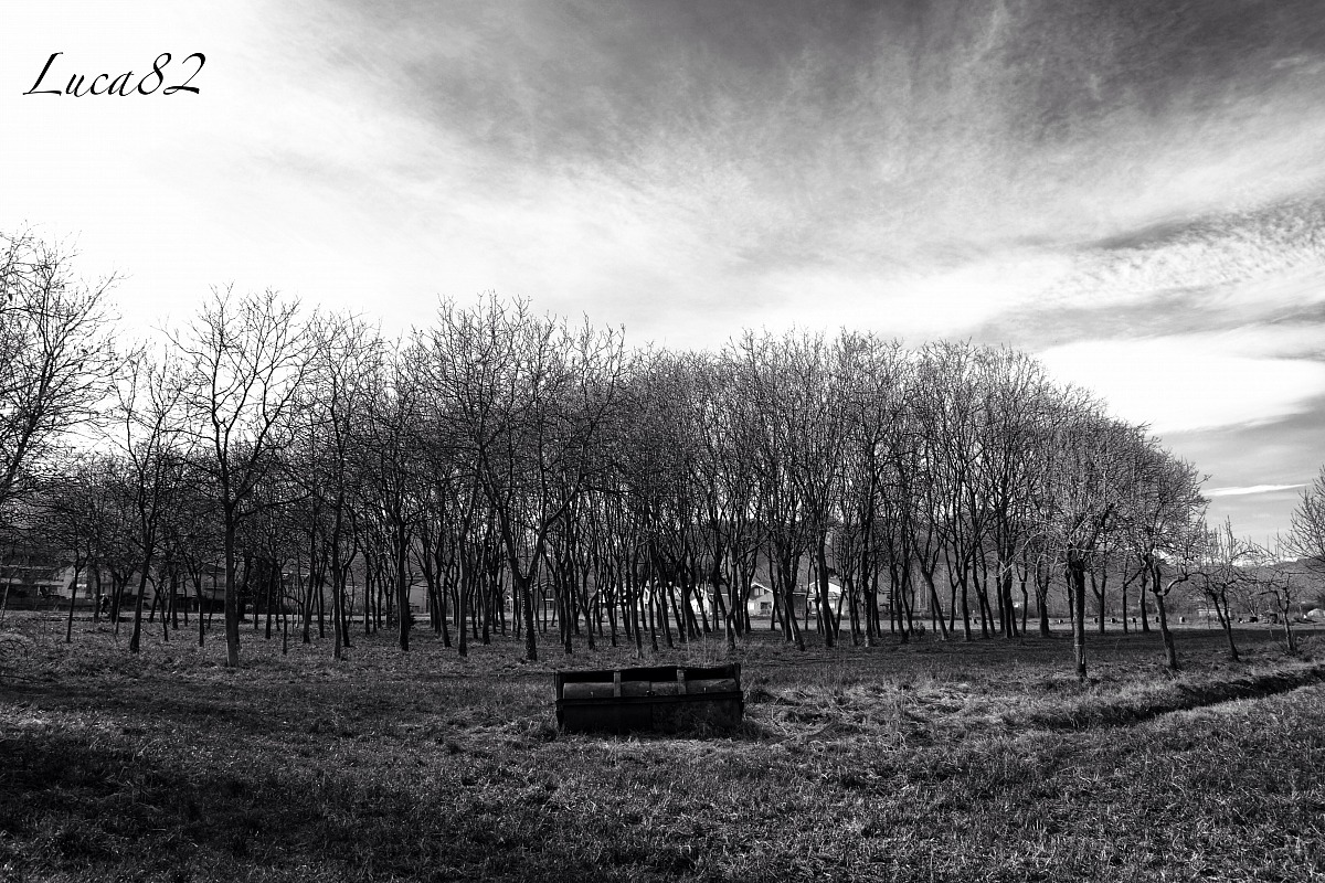 Campaign village San dalmazzo