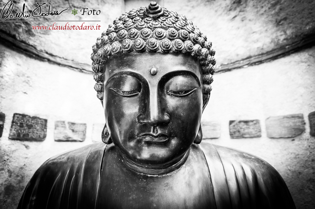 Bisogna cercare sempre un pò di Zen