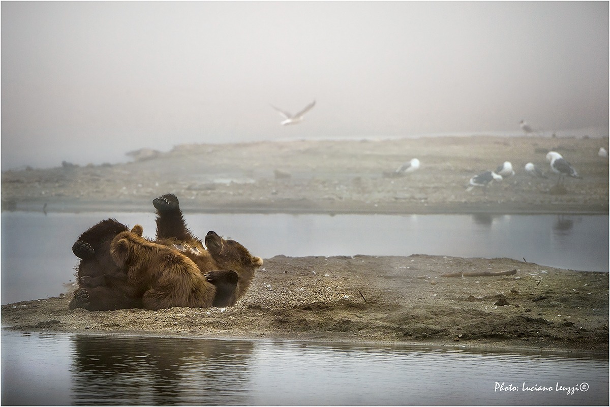 Colazione nella nebbia