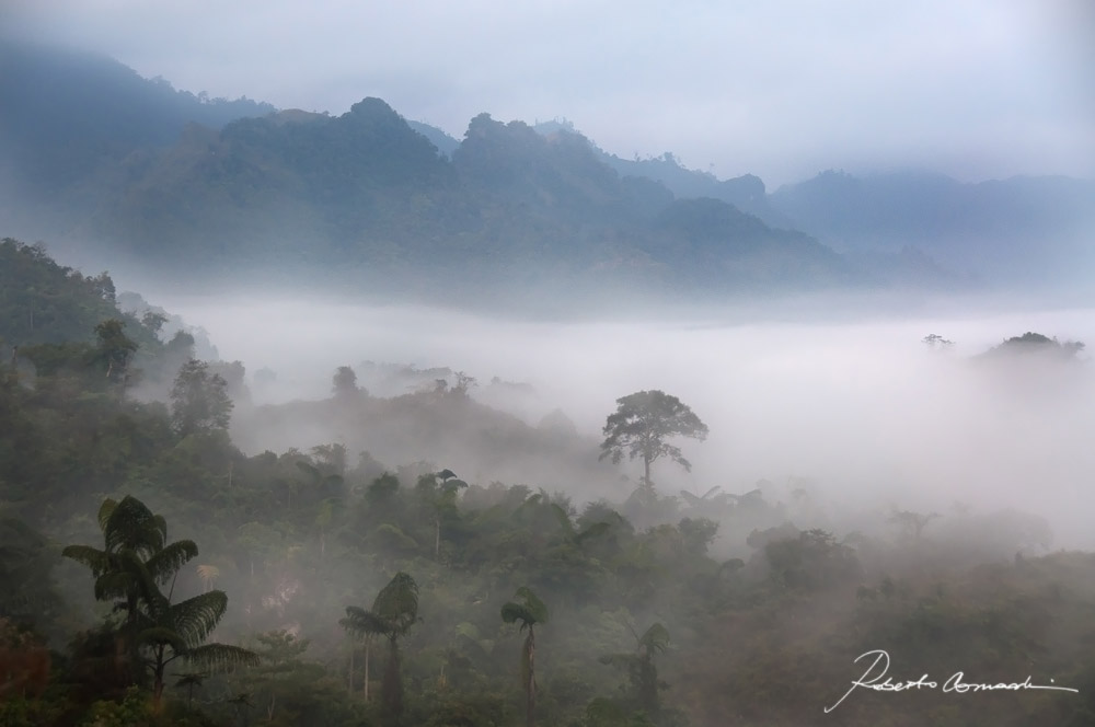 Islands in the clouds