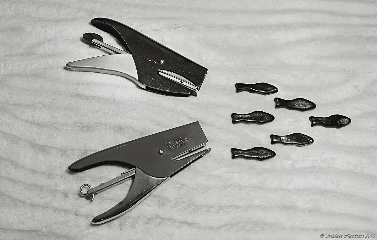 Pesce grande mangia pesce piccolo