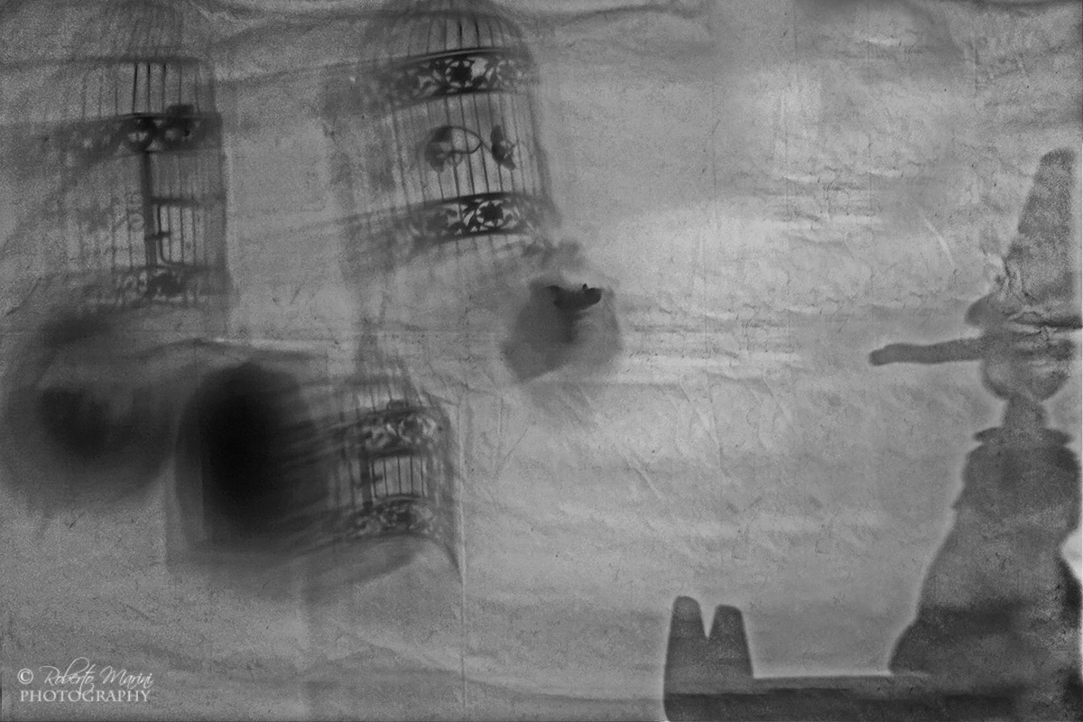 carissimo Pinocchio....