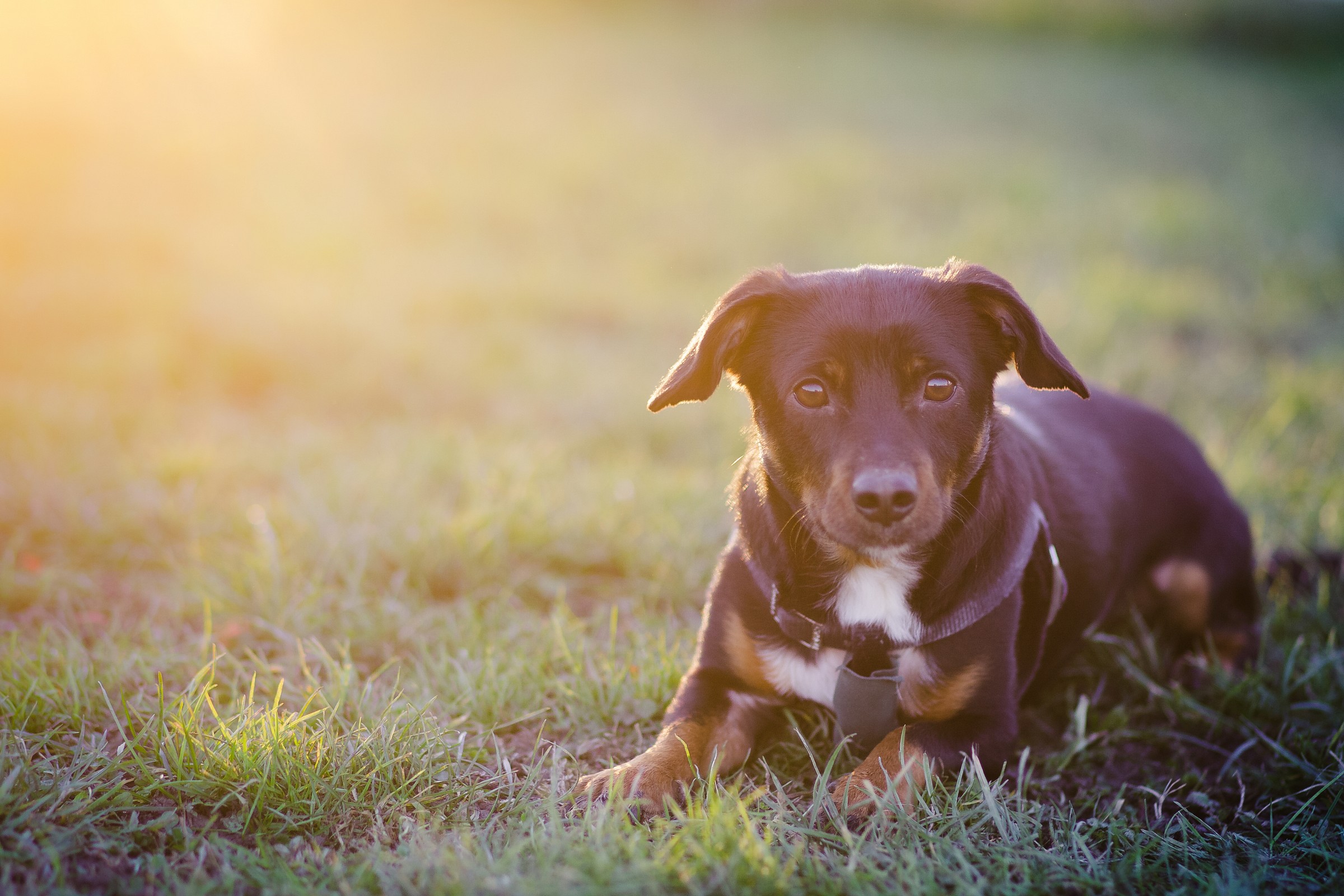 Pomeriggio invernale